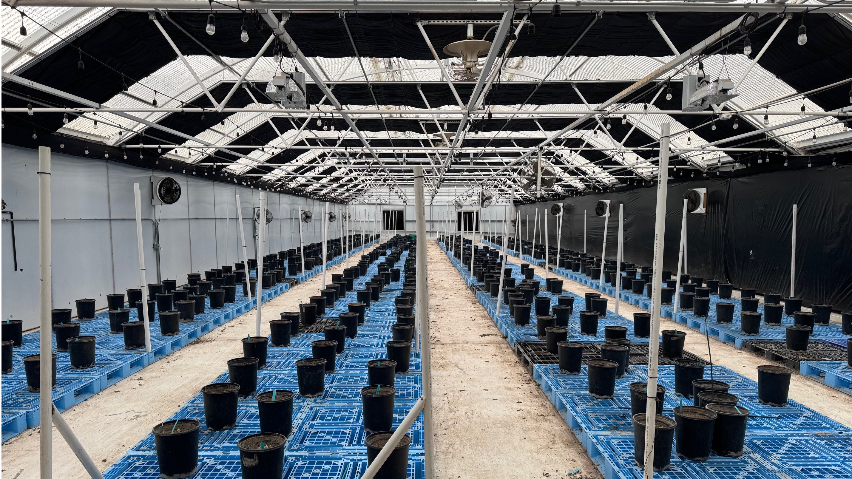 Land for Sale - 3376 Foothill Rd, Carpinteria, California, 93013 (7)