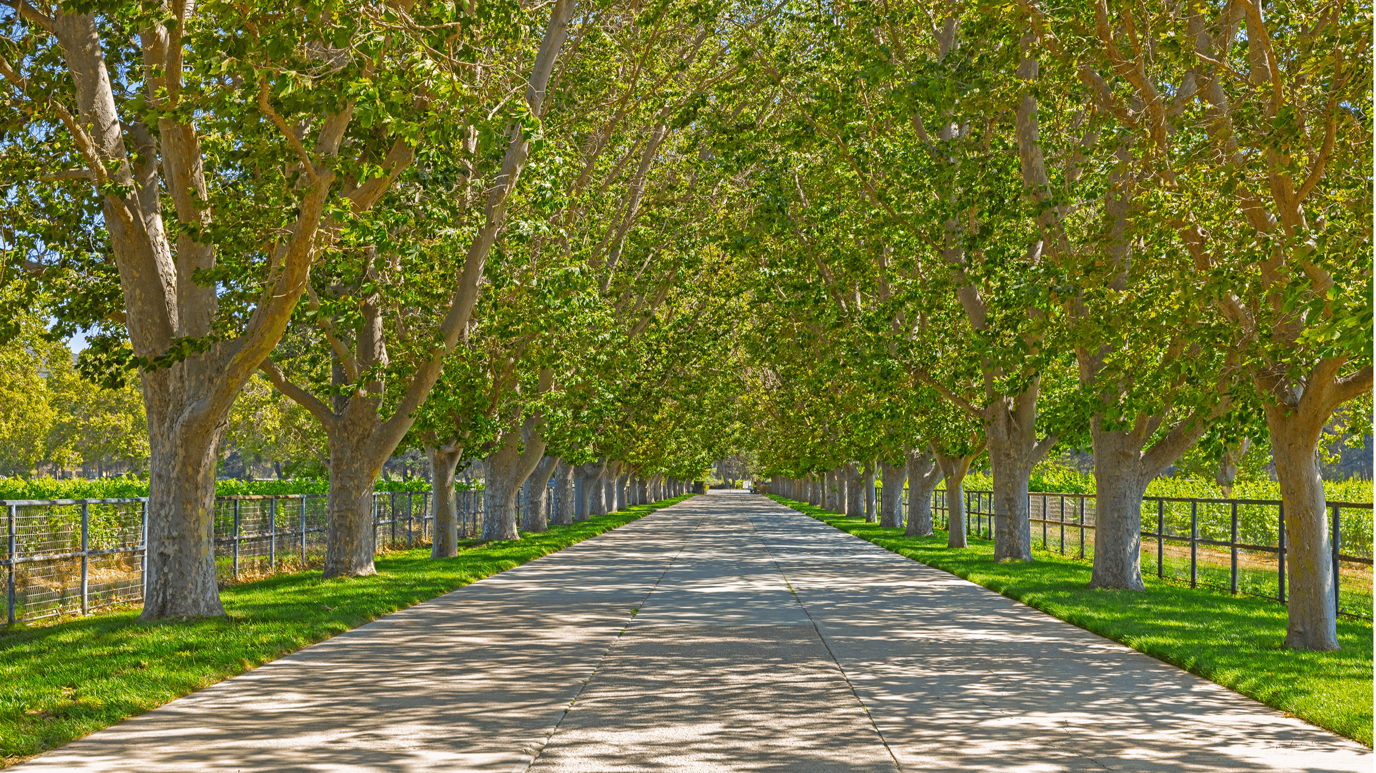 Land for Sale - River Edge Farm, Solvang, California, 93463 (6)