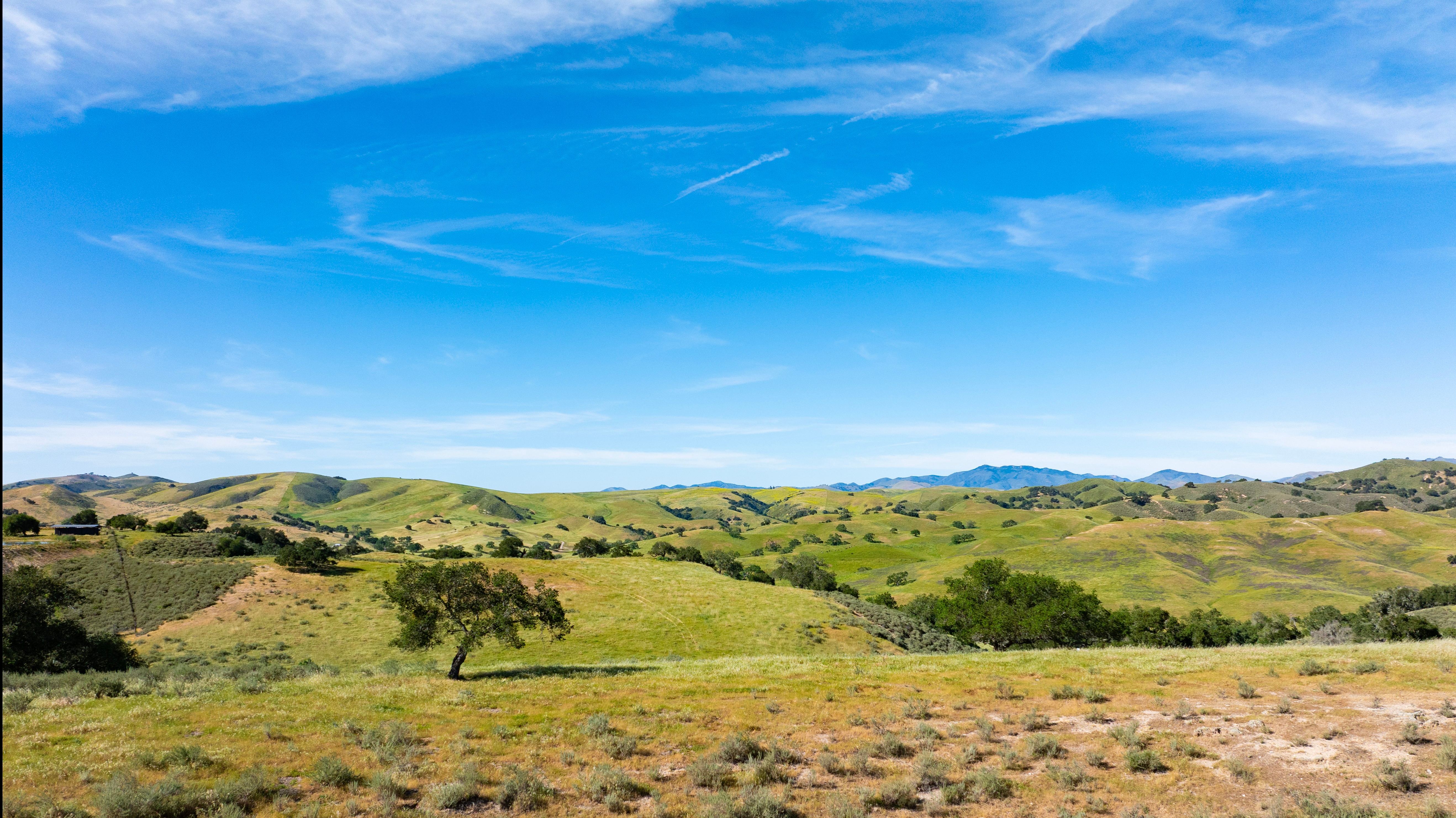 Land for Sale - 0 Alisos Canyon Rd, Los Alamos, California, 93440 (3)