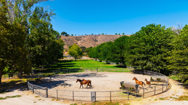 Land for Sale - River Edge Farm, Solvang, California, 93463 (3)