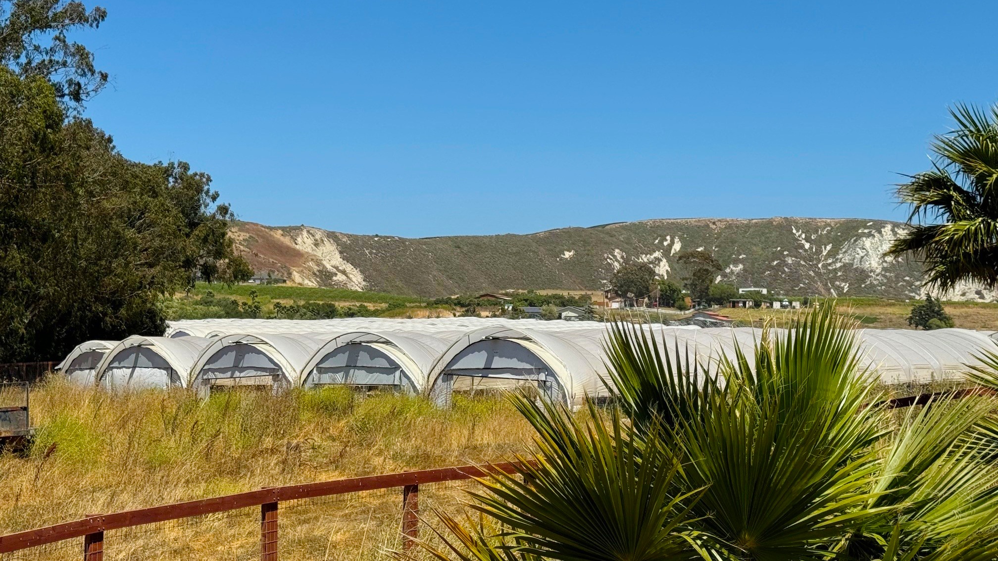 2140 Sweeney Rd, Photo - Slide04 Land for Sale - 2140 Sweeney Rd, Lompoc, California, 93436 (19)
