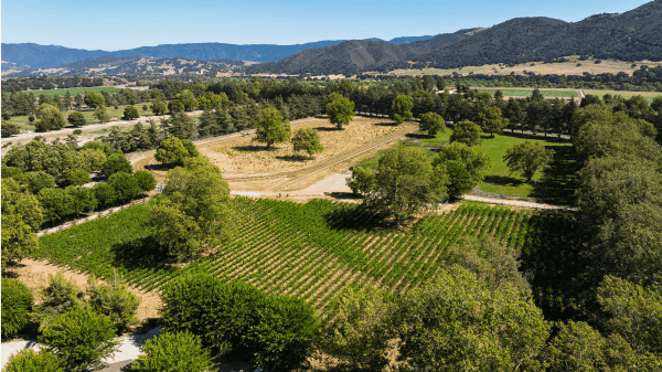 Land for Sale - River Edge Farm, Solvang, California, 93463 (12)