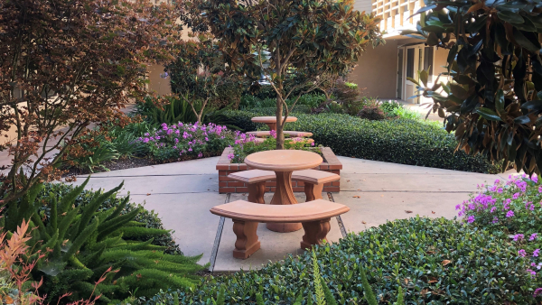 Office Property for Rent - 5951 Encina Rd., Goleta, California, 93117 (6)