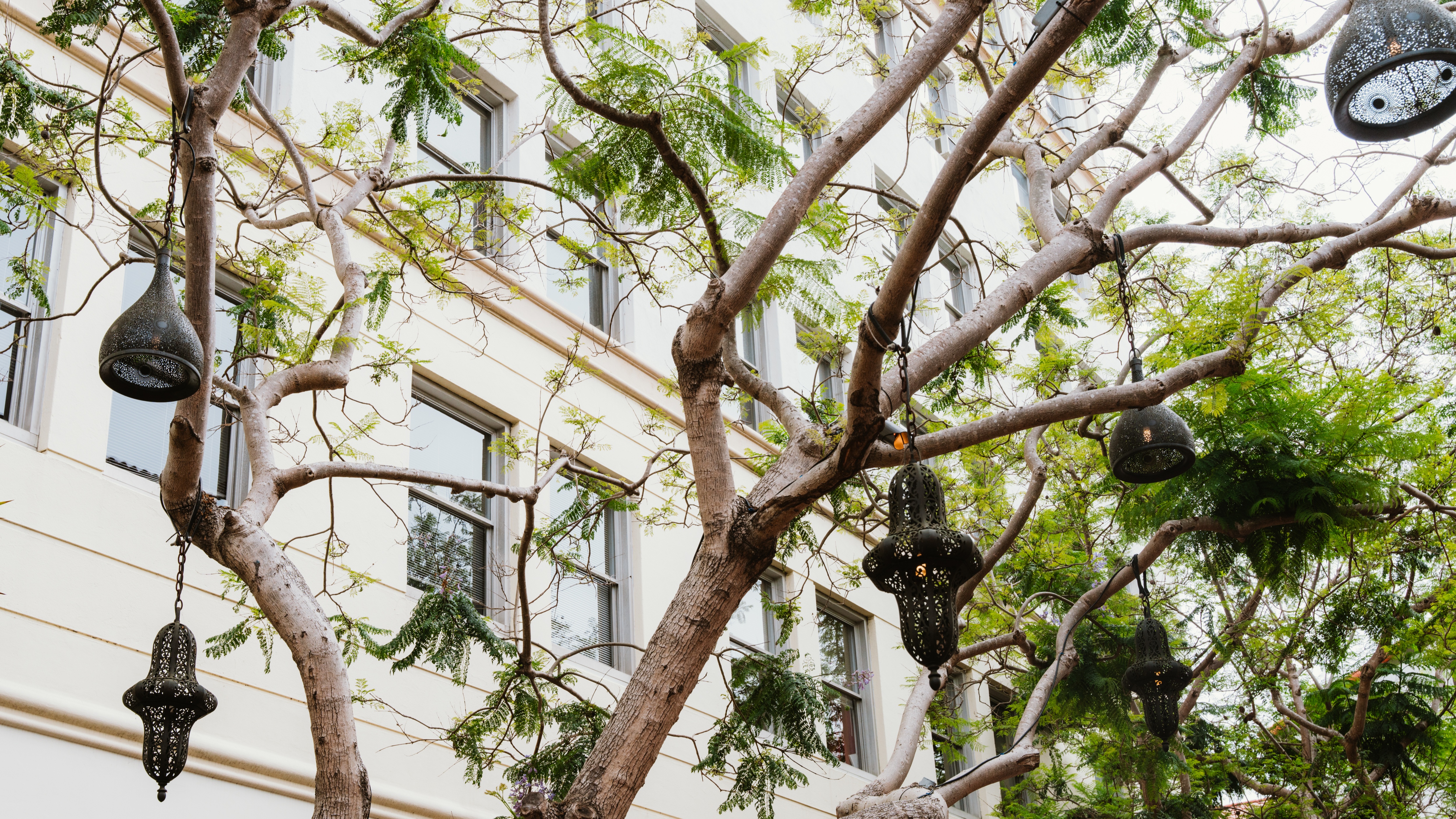 739 State St., Photo - Slide04 Retail Property for Lease - 621 Paseo Nuevo, Santa Barbara, California, 93101 (11)