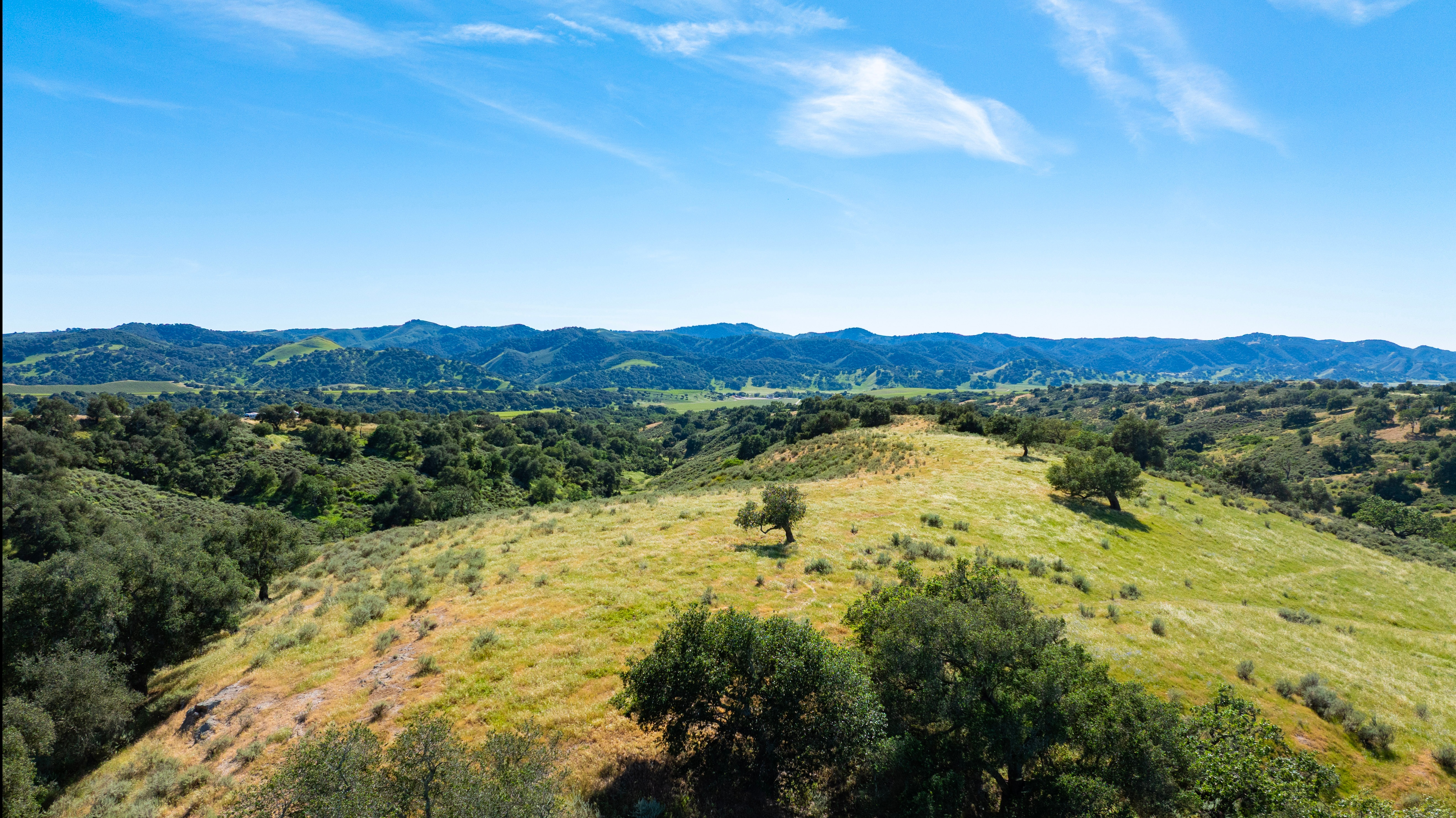 Land for Sale - 0 Alisos Canyon Rd, Los Alamos, California, 93440 (2)
