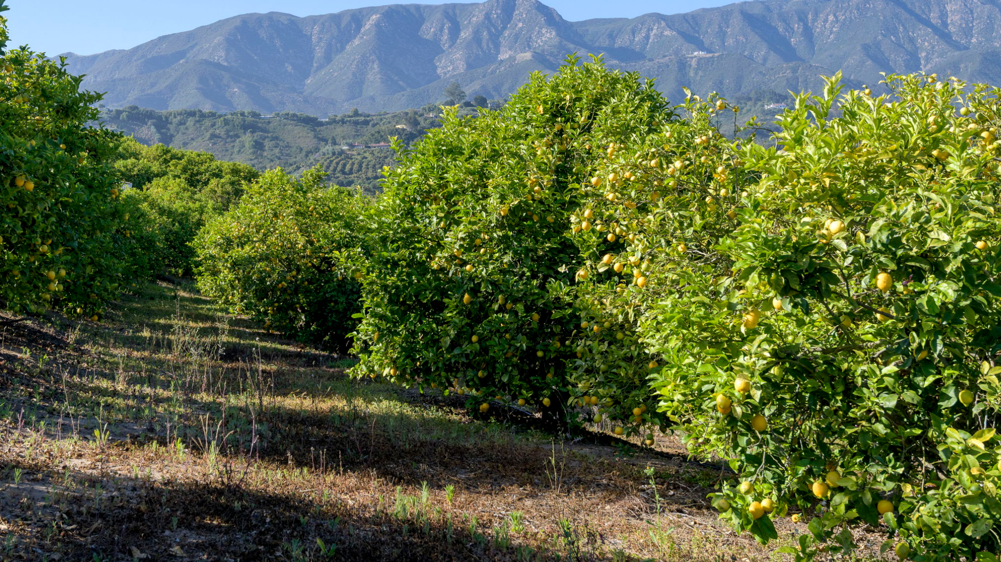 Special Purpose Property for Sale - 249 Lambert Rd., Carpinteria, California, 93013 (3)