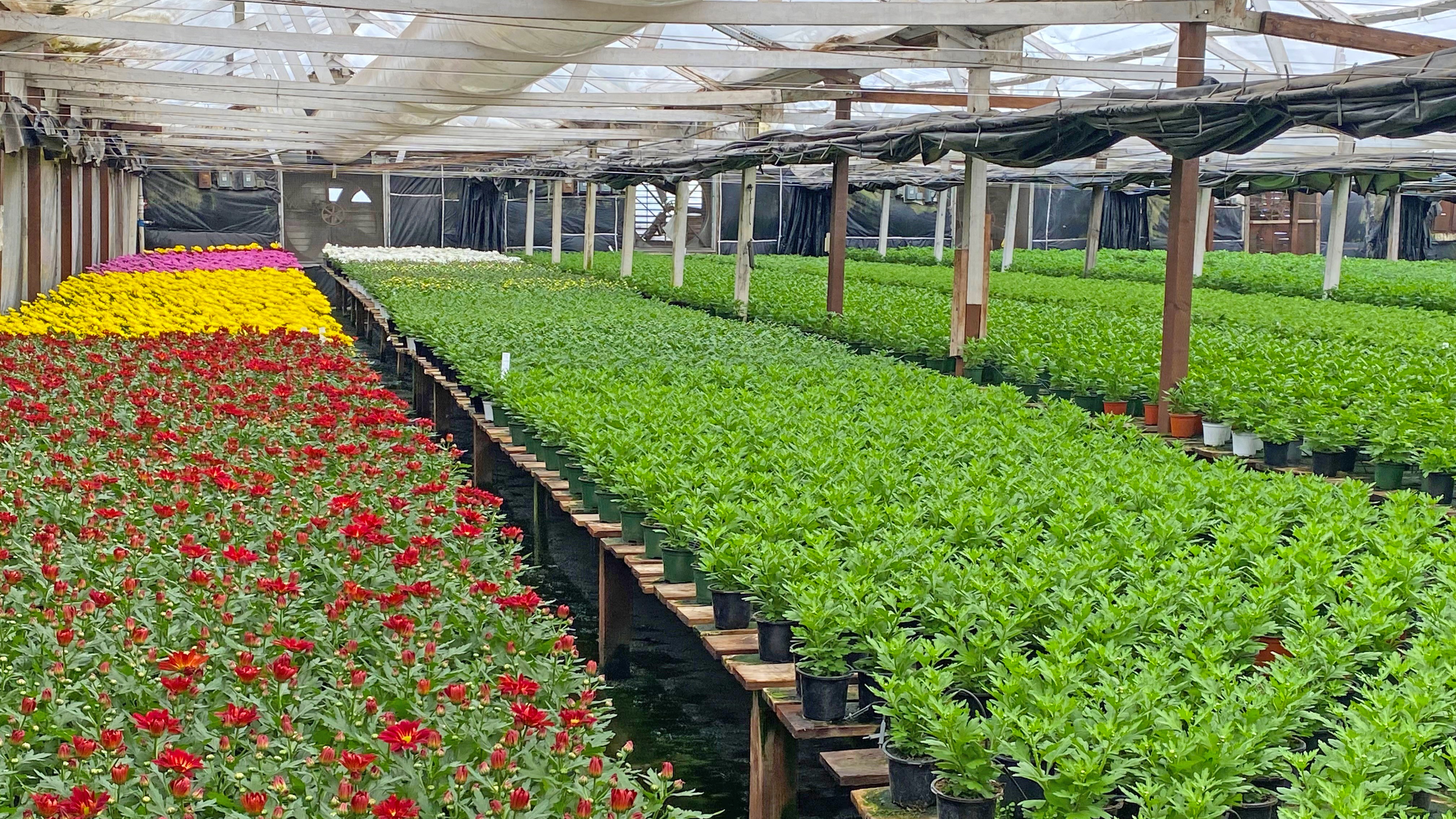 Land for Sale - 1385 Anderson Ln., Santa Barbara, California, 93111 (8)