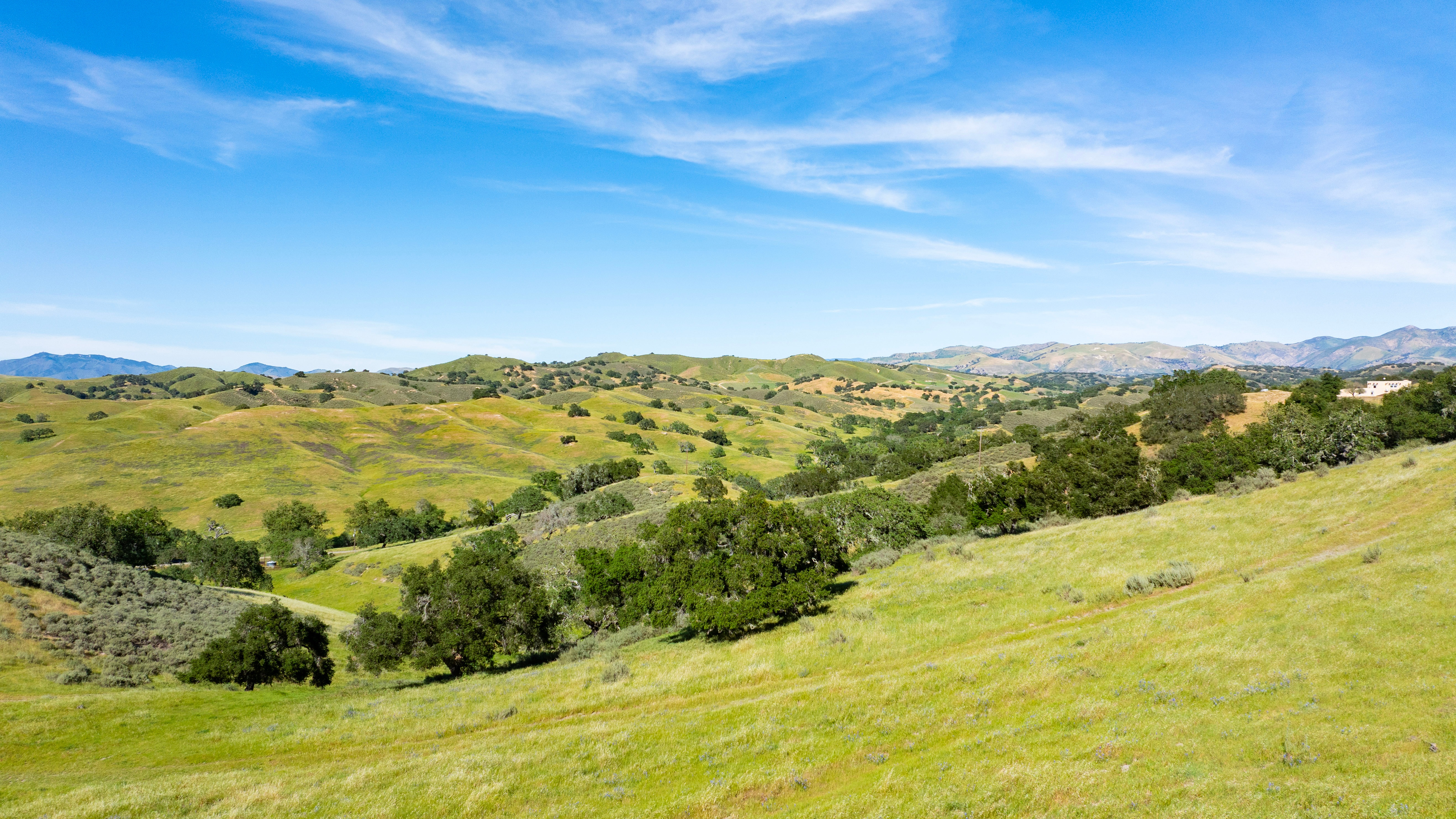 Land for Sale - 0 Alisos Canyon Rd, Los Alamos, California, 93440 (5)