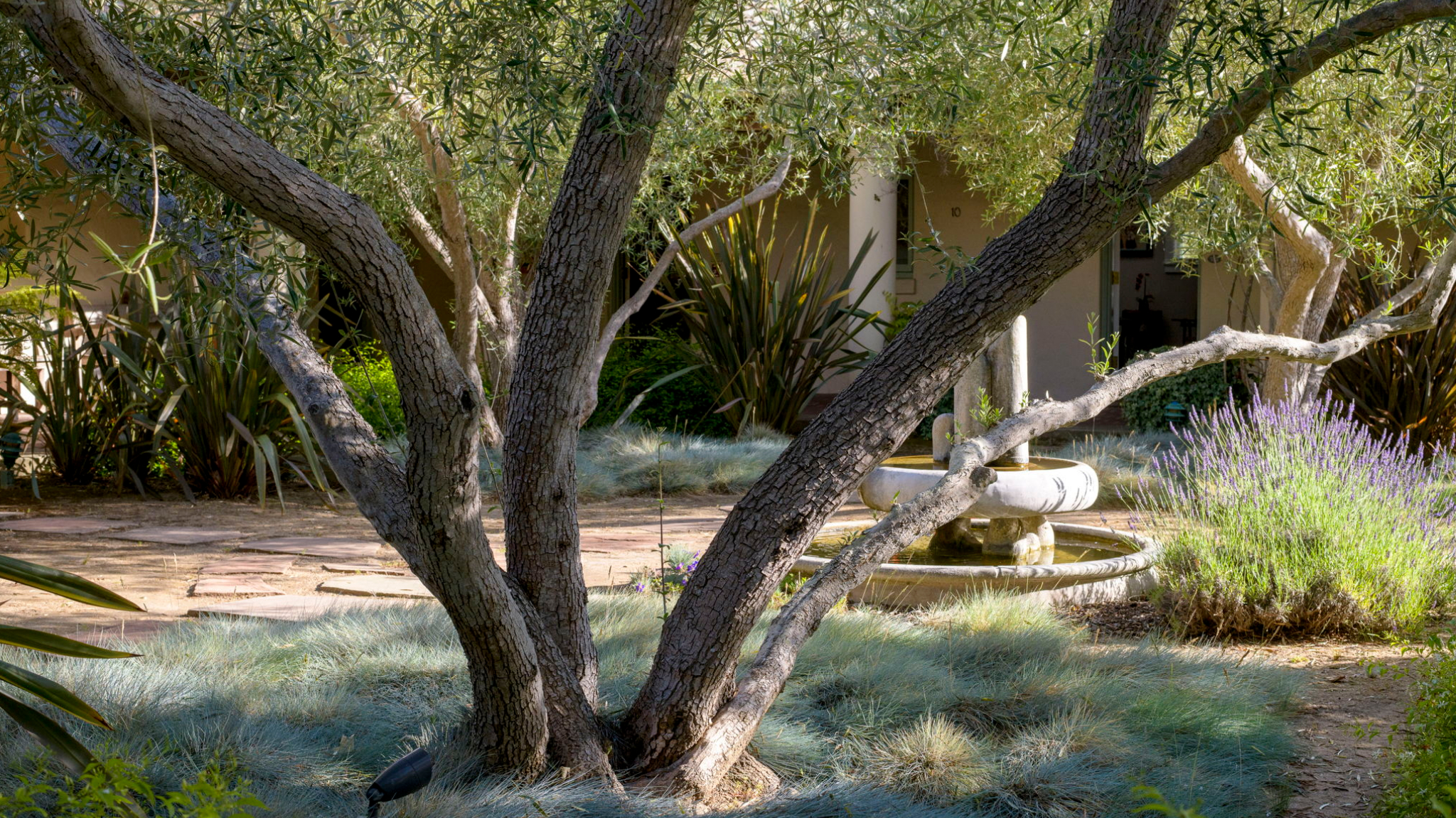 Special Purpose Property for Sale - 249 Lambert Rd., Carpinteria, California, 93013 (5)