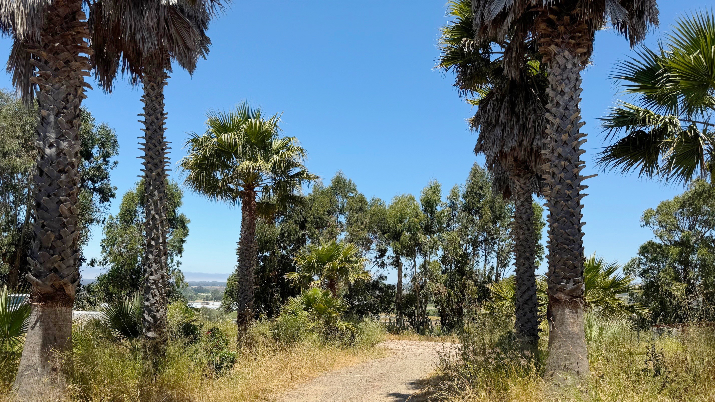 2140 Sweeney Rd, Photo - Slide03 Land for Sale - 2140 Sweeney Rd, Lompoc, California, 93436 (20)