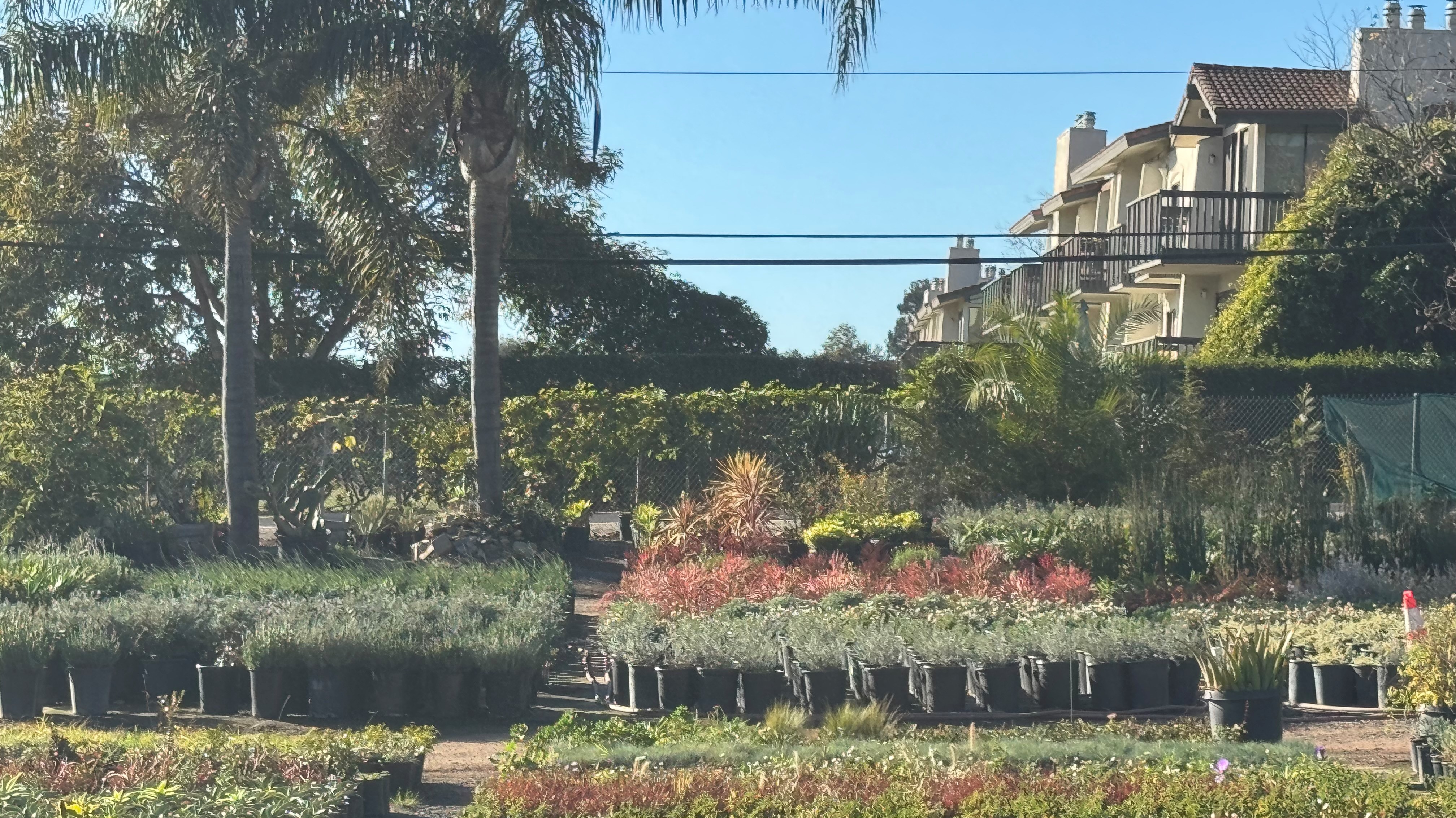 Land for Sale - 3376 Foothill Rd, Carpinteria, California, 93013 (5)