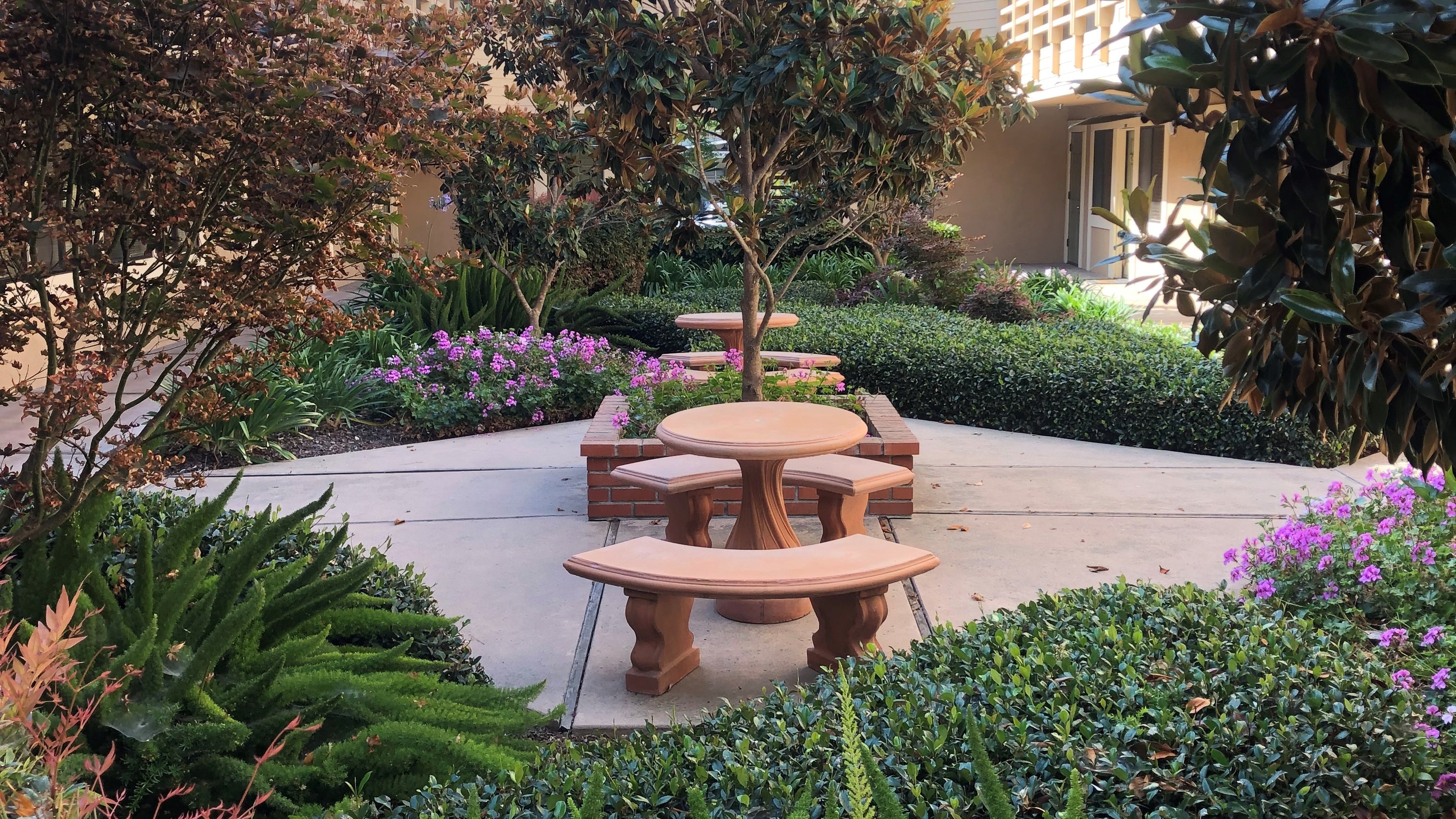 Office Property for Rent - 5951 Encina Rd., Goleta, California, 93117 (3)