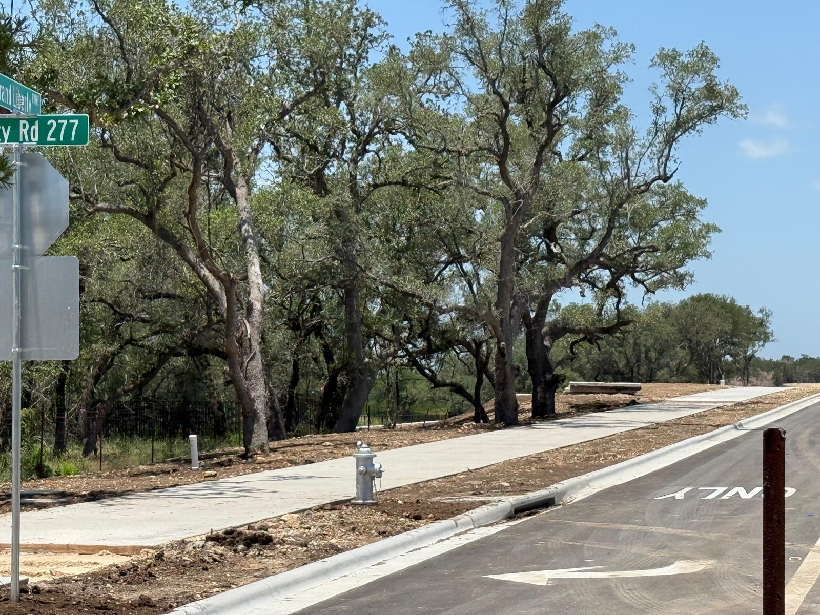 Land for Sale - 1049 County Road 201, Liberty Hill, Texas, 78642 (12)