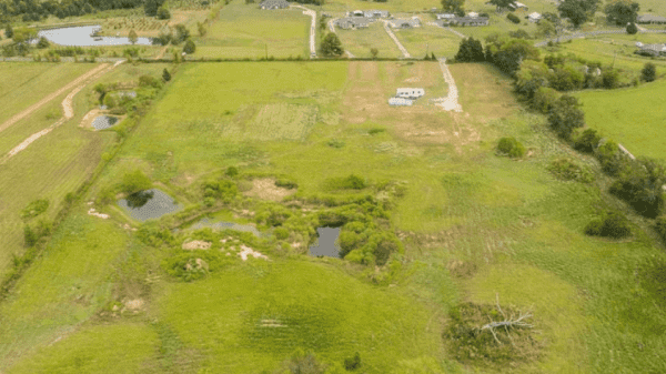 Land for Sale - 341 County Road 2373, Alba, TX, 75410