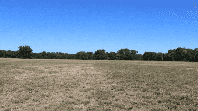 Land for Sale - 4017 Hwy 1753, Denison, Texas, 75021 (1)