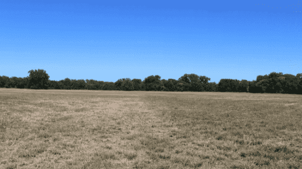 Land for Sale - 4017 Hwy 1753, Denison, TX, 75021