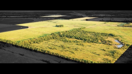 Land for Sale - TBD County Road 24800, Brookston, TX, 75421