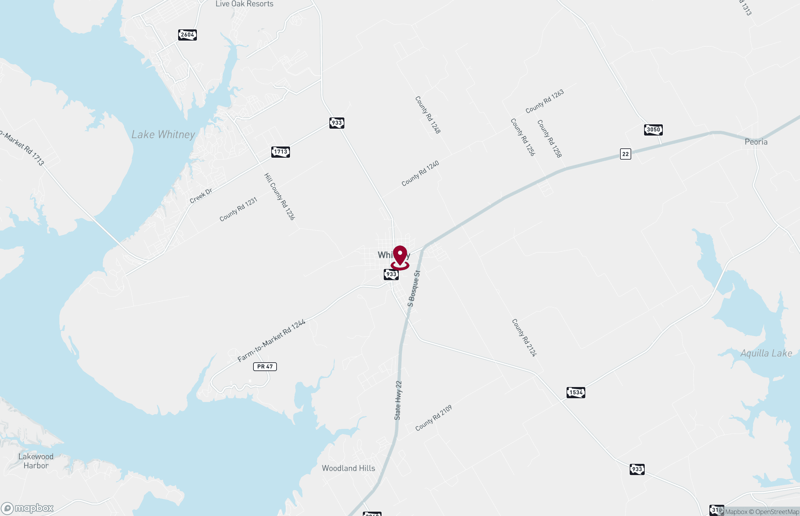 Healthcare Property for Lease - 200 N San Jacinto St, Whitney, Texas, 76692-2388 (2)