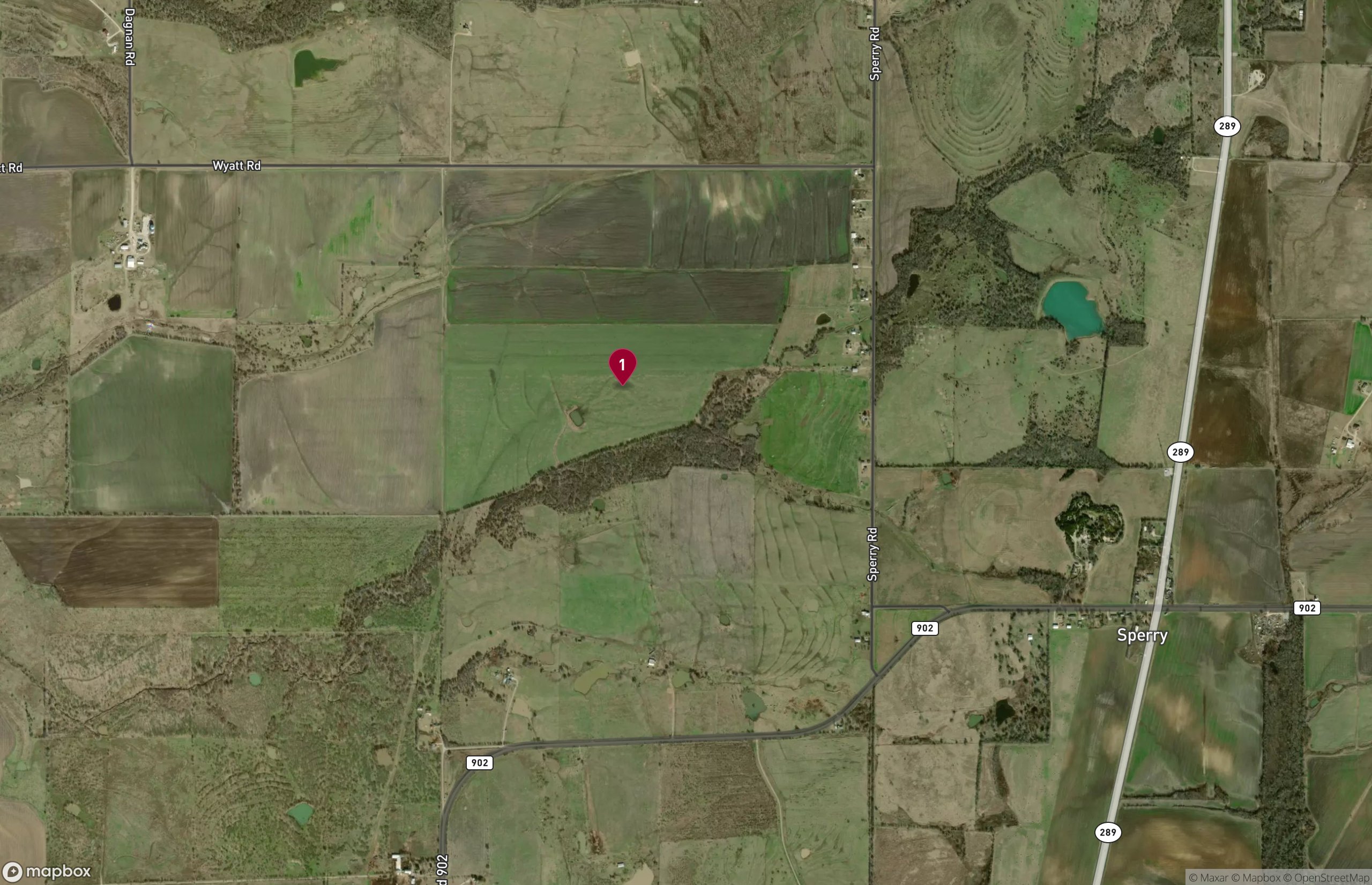 Land for Sale - 995 Sperry Rd, Dorchester, Texas, 75459 (2)