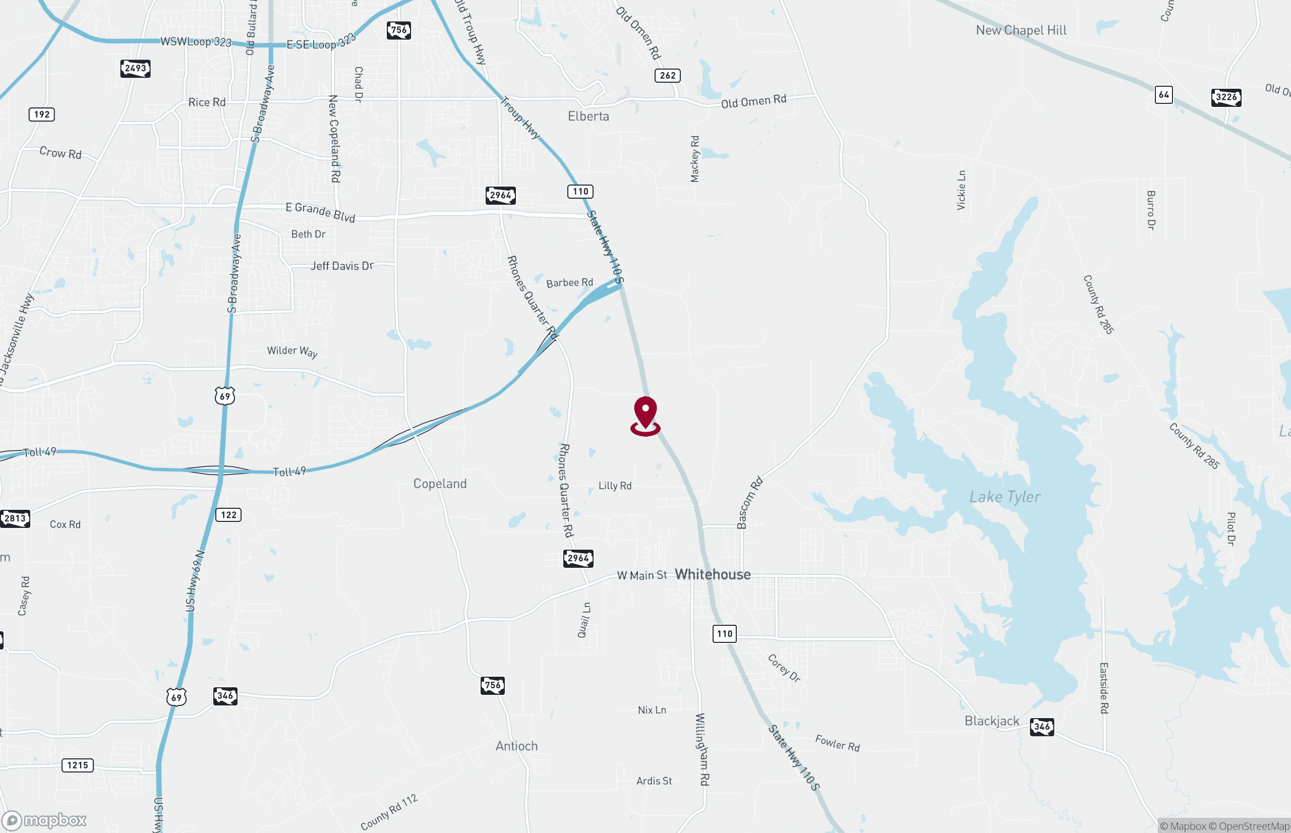 Land for Sale - Hwy 110, Whitehouse, Texas, 75791 (2)