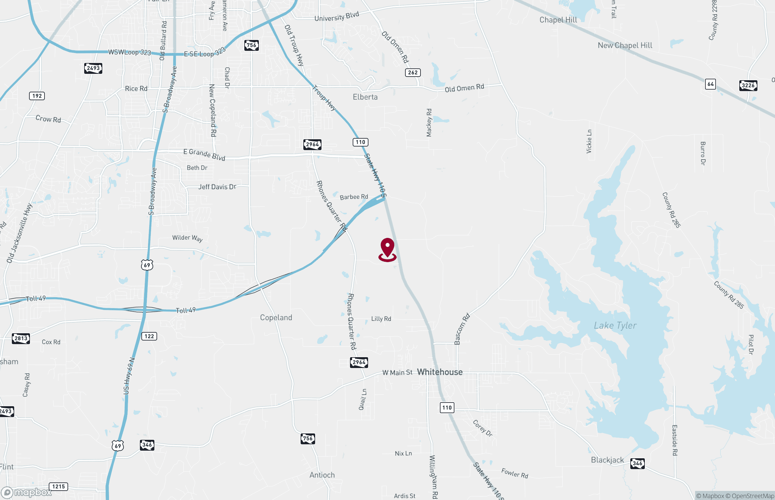 Land for Sale - 15412 State Highway 110 S, Whitehouse, Texas, 75791 (2)